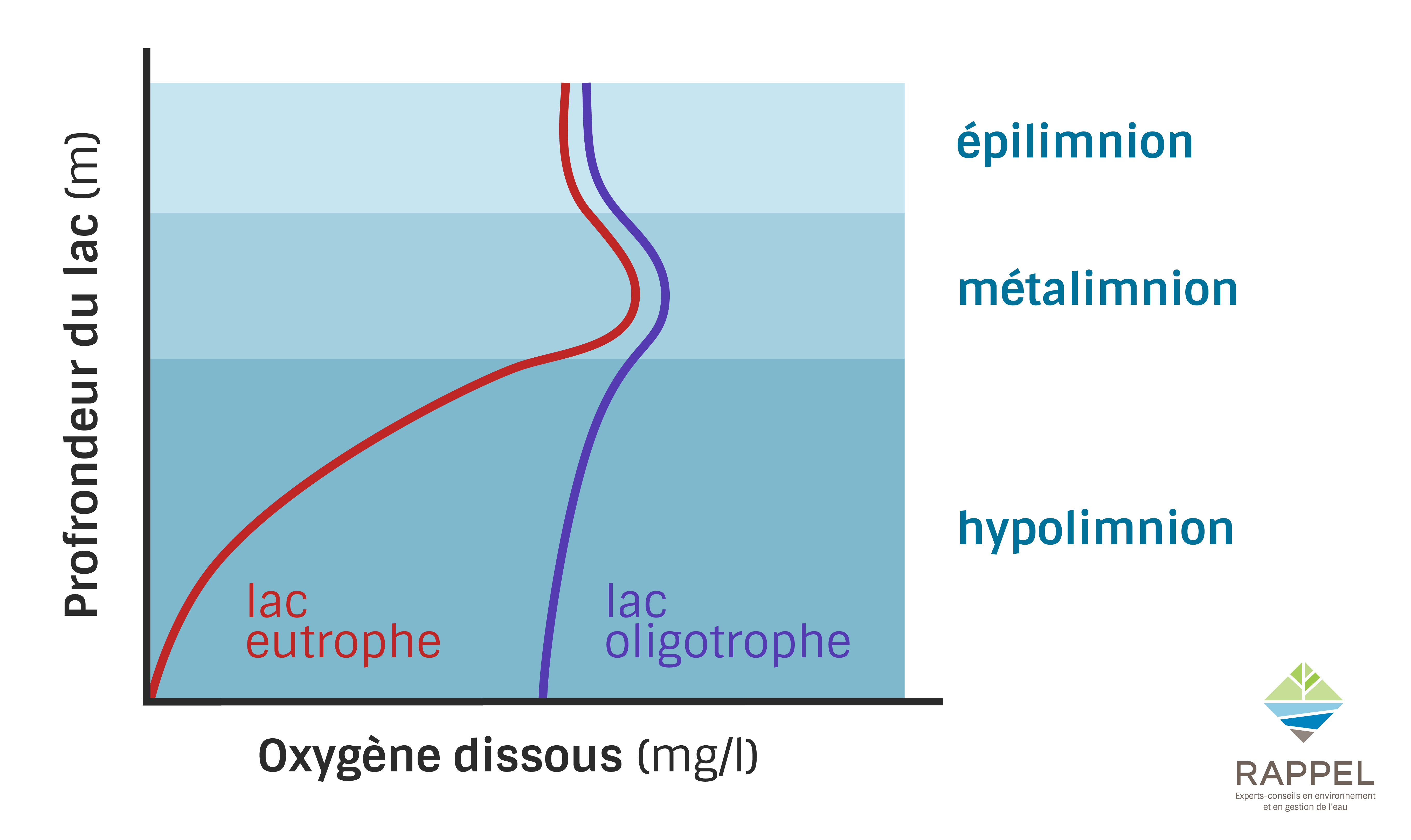 profil-oxygene-dissout-lac-eutrophe-oligotrophe