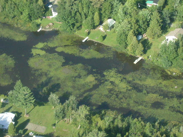 Lac eutrophe